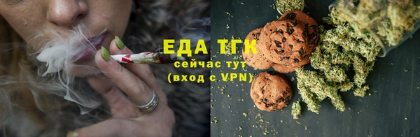 кокс Касимов