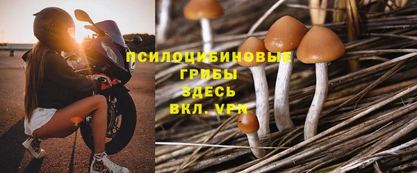 кокс Касимов