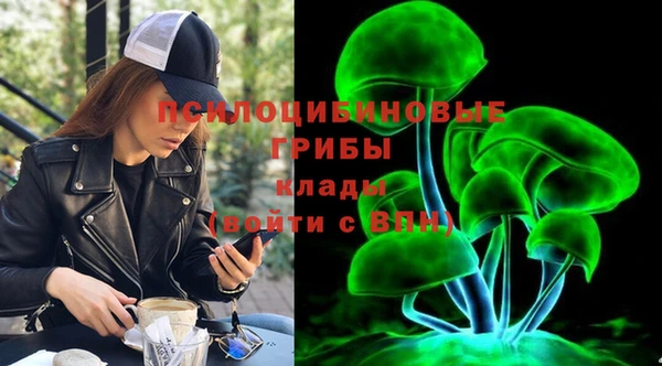 ALPHA-PVP Туринск