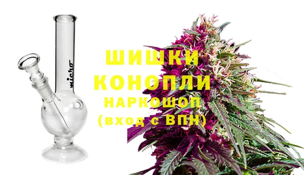 кокс Касимов