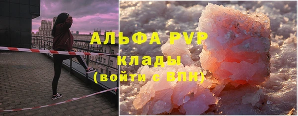 кокс Касимов