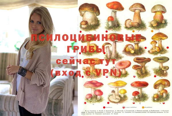 ешки Карталы