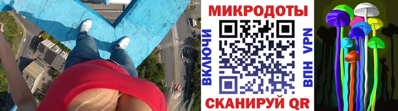 shop официальный сайт  Цоци-Юрт  Псилоцибиновые грибы MAGIC MUSHROOMS 